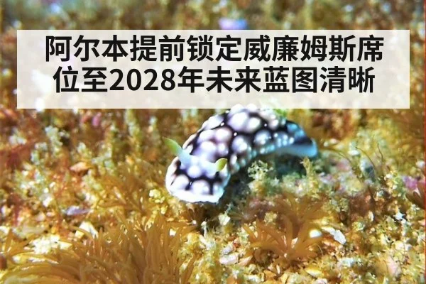 阿尔本提前锁定威廉姆斯席位至2028年未来蓝图清晰